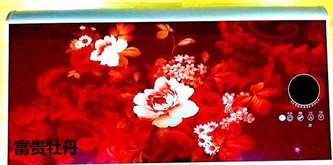 攜手順太樂，共贏綠色未來 誠征節(jié)能健康環(huán)保電熱兩用熱水器代理經(jīng)銷商